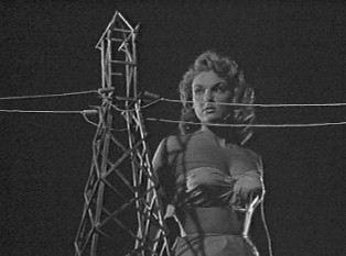 Image result for attack of the 50 foot woman