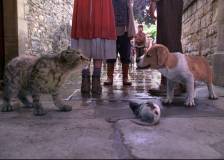 ©2007 New Line Cinema - The Golden Compass (The Golden Compass)