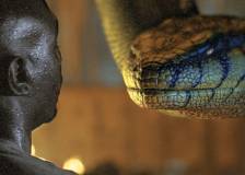 © 2004 Screen Gems - Anacondas : A la poursuite de l'orchidée de sang (Anacondas: The Hunt for the Blood Orchid)