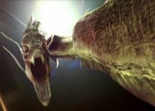 ©2005 Franchise Pictures - Un coup de tonnerre (A Sound of Thunder)