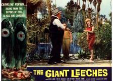 Us poster thumbnail from 'Attack of the Giant Leeches'
