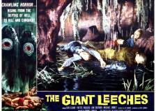 Us poster thumbnail from 'Attack of the Giant Leeches'