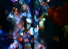 ©1966-1967 Irwin Allen Productions - Au coeur du temps (The Time Tunnel)