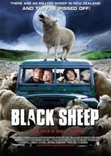 Miniature d'affiche américaine de 'Black Sheep'