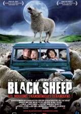 Miniature d'affiche française de 'Black Sheep'