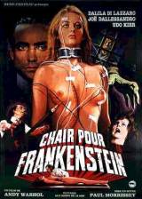 Miniature d'affiche française de 'Chair pour Frankenstein'