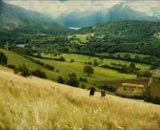 Icône pour lancer la bande-annonce n°1 de 'Coeur d'encre'