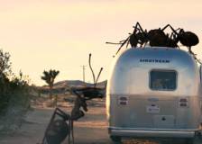 ©2099 August Heart Entertainment - Dead Ant (Dead Ant)