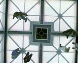 Icône pour lancer la bande-annonce n°1 de 'Cube 2 : hypercube'