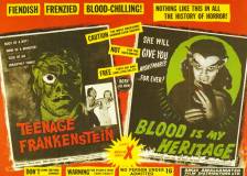 Us poster thumbnail from 'I Was a Teenage Frankenstein'