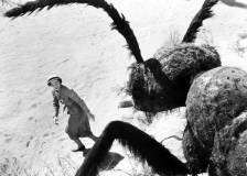 ©1954 Warner Bros. - Them! (Them!)