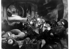 ©1954 Warner Bros. - Them! (Them!)