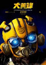 Miniature d'affiche inconnue de 'Bumblebee'