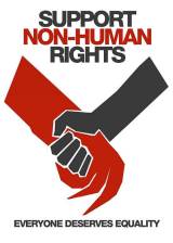 Miniature d'affiche américaine de 'District 9'