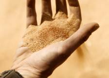 ©2020 Warner Bros - Dune (Dune)