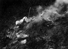 ©1954 Universal Studios - Creature from the Black Lagoon (Creature from the Black Lagoon)