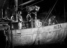©1954 Universal Studios - Creature from the Black Lagoon (Creature from the Black Lagoon)