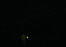 ©2015 Les Films du Worso - Evolution (Evolution)