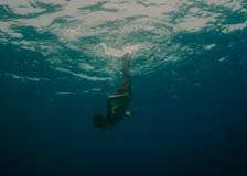 ©2015 Les Films du Worso - Evolution (Evolution)