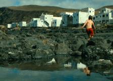 ©2015 Les Films du Worso - Evolution (Evolution)