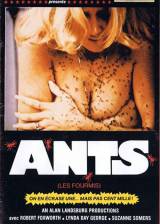 French poster thumbnail from 'It Happened at Lakewood Manor'