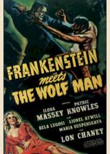 Unknown poster thumbnail from 'Frankenstein Meets the Wolf Man'