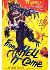 Miniature d'affiche américaine de 'From Hell It Came'
