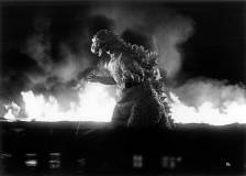 ©1954 Toho - Godzilla (Gojira)