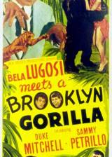 Us poster thumbnail from 'Bela Lugosi Meets a Brooklyn Gorilla'