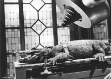 ©1959 - The Alligator People (The Alligator People)