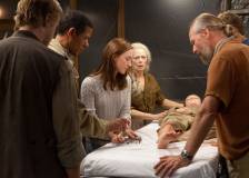 ©2012 Chockstone Pictures - Les âmes vagabondes (The Host)