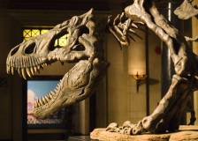 ©2006 20th Century Fox - Night at the Museum (Night at the Museum)