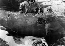 ©1956 Universal Pictures - Le peuple de l'enfer (The Mole People)