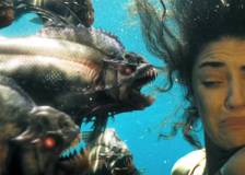 ©2010 Wild Bunch - Piranha 3-D (Piranha)