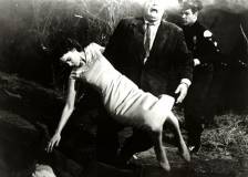 ©1959 Reynolds Pictures - Plan 9 From Outer Space (Plan 9 from Outer Space)