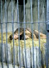 ©1968 20th Century Fox - Planet of the Apes (Planet of the Apes)