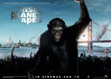 British poster thumbnail from 'Rise of the Planet of the Apes'