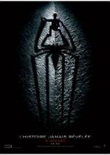 Miniature d'affiche française de 'The Amazing Spider-Man'