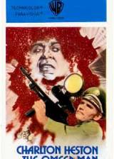 Miniature d'affiche inconnue de 'Le survivant'