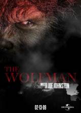 Miniature d'affiche inconnue de 'Wolfman'