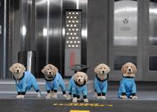 ©2009 Walt Disney Home Entertainment - Les Copains de l'espace (Space Buddies)