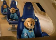 ©2009 Walt Disney Home Entertainment - Les Copains de l'espace (Space Buddies)