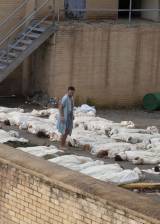 ©2010 AMC Studios - The Walking Dead (The Walking Dead)