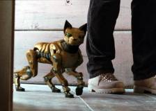 ©2011 Escándalo Films S.L. - Eva (Eva)