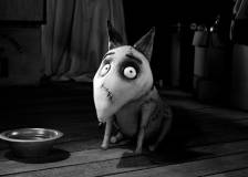 ©2012 Walt Disney Pictures - Frankenweenie (Frankenweenie)