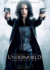 Miniature d'affiche américaine de 'Underworld : nouvelle ère'