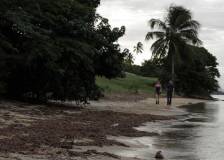 ©2012 Emylia - Dead Season (Dead Season)