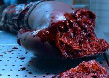 ©2011 Bullet Films - Killer Shark (Swamp Shark)