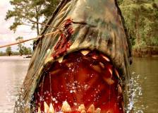 ©2011 Bullet Films - Killer Shark (Swamp Shark)