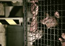 ©2012 H2ZZ Productions - Decay (Decay)